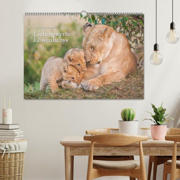 Produktbild: Emotionale Momente: Liebenswerte L&ouml;wenbabys (Wandkalender 2026 DIN A2 quer), CALVENDO Monatskalender
