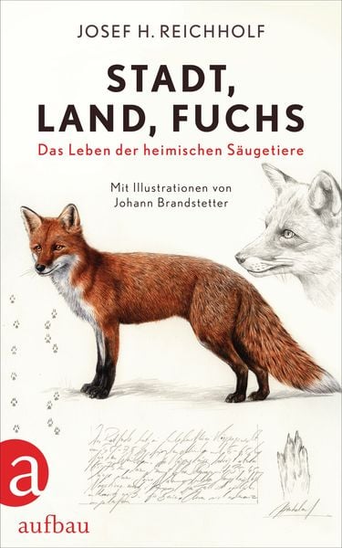 Stadt, Land, Fuchs