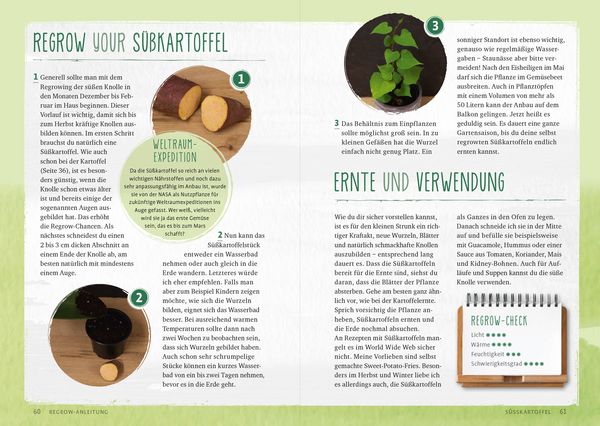 Produktbild: Regrow your veggies