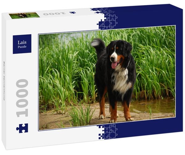 Produktbild: Lais Puzzle Berner Sennenhund 1000 Teile