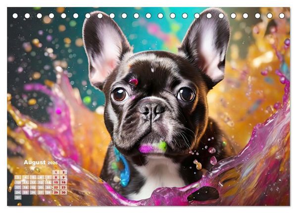 Produktbild: Splash - Hunde im Farbrausch (Tischkalender 2026 DIN A5 quer), CALVENDO Monatskalender