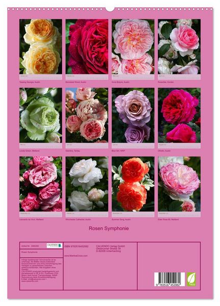 Produktbild: Rosen Symphonie (hochwertiger Premium Wandkalender 2026 DIN A2 hoch), Kunstdruck in Hochglanz