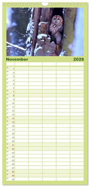 Produktbild: Familienplaner 2026 - geliebte Waldgeister mit 5 Spalten (Wandkalender, 21 x 45 cm) CALVENDO