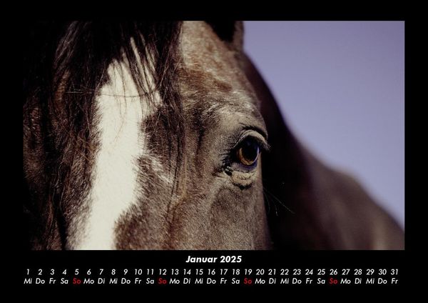Produktbild: Pferdegefl&uuml;ster 2025 Fotokalender DIN A3