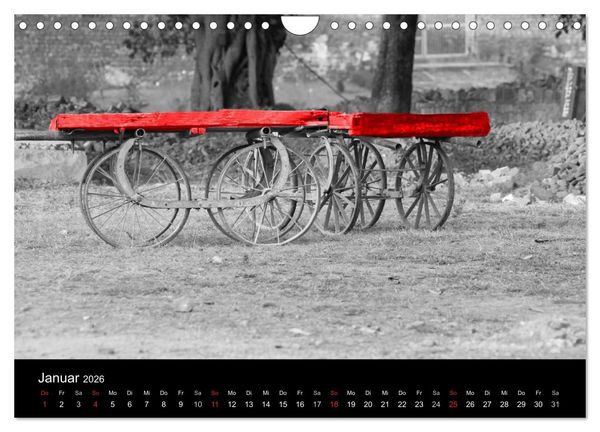 Produktbild: Blickfang in Rot (Wandkalender 2026 DIN A4 quer), CALVENDO Monatskalender
