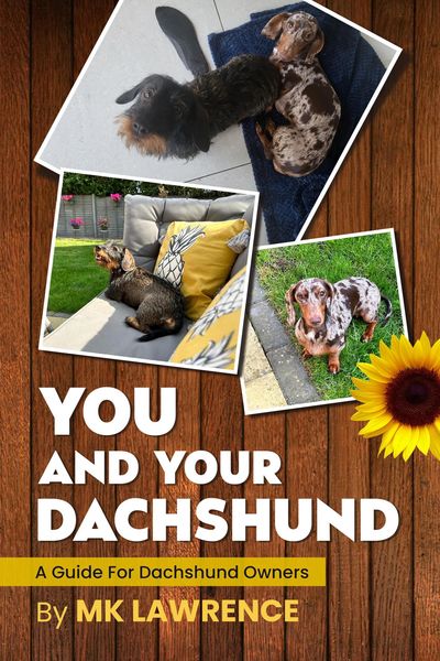 Produktbild: You and your Dachshund...A Guide for Dachshund Owners