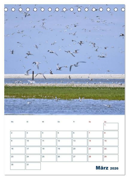 Produktbild: Texel - Momente die verzaubern (Tischkalender 2026 DIN A5 hoch), CALVENDO Monatskalender