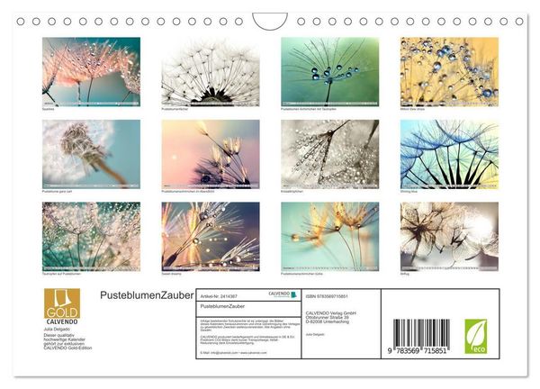 Produktbild: PusteblumenZauber (Wandkalender 2027 DIN A4 quer), CALVENDO Monatskalender