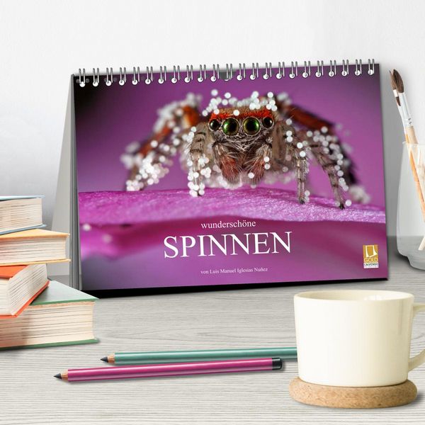 Produktbild: Wundersch&ouml;ne Spinnen (Tischkalender 2026 DIN A5 quer), CALVENDO Monatskalender