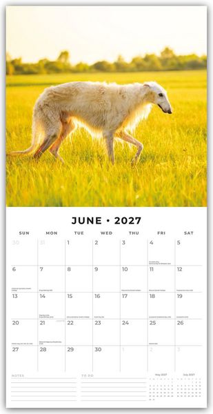Produktbild: Borzois &ndash; Barsoi &ndash; Barzaia &ndash; Russischer Wolfshund 2027 &ndash; 16-Monatskalender