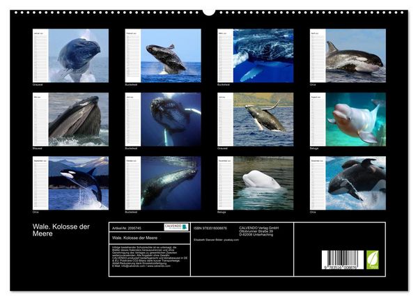 Produktbild: Wale. Kolosse der Meere (hochwertiger Premium Wandkalender 2026 DIN A2 quer), Kunstdruck in Hochglanz