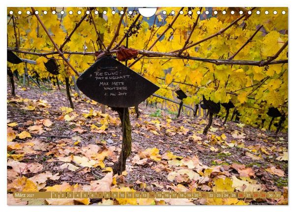 Produktbild: Wein - Landschaften (Wandkalender 2027 DIN A4 quer), CALVENDO Monatskalender