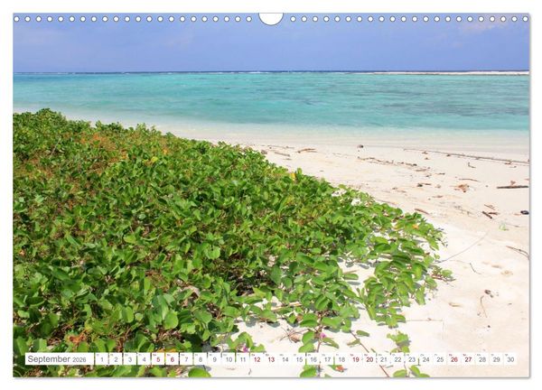 Produktbild: Indonesien pur und sch&ouml;n (Wandkalender 2026 DIN A3 quer), CALVENDO Monatskalender