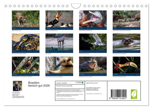 Produktbild: Brasilien tierisch gut 2026 (Wandkalender 2026 DIN A4 quer), CALVENDO Monatskalender