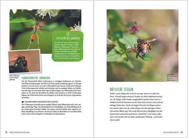Produktbild: MDR Garten - Richtig g&auml;rtnern f&uuml;r N&uuml;tzlinge