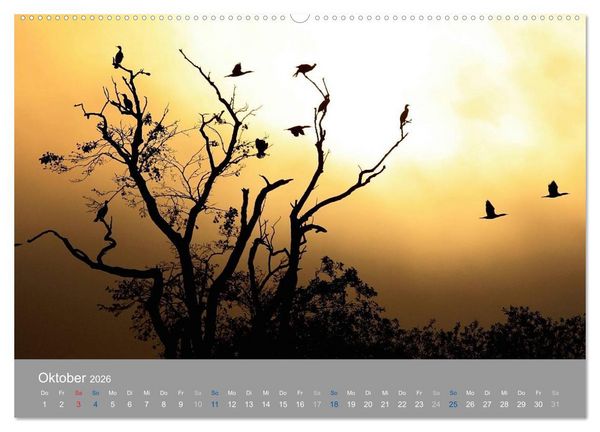 Produktbild: PLANET USEDOM Sonnenaufg&auml;nge (Wandkalender 2026 DIN A2 quer), CALVENDO Monatskalender