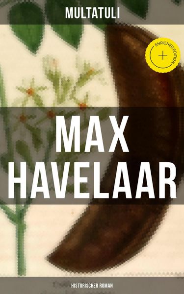 Produktbild: Max Havelaar (Historischer Roman)