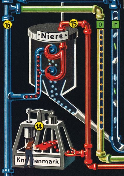 Produktbild: Der Mensch als Industriepalast von Dr. Fritz Kahn