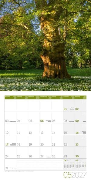 Produktbild: B&auml;ume Kalender 2027 - 30x30 - Art12