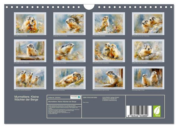 Produktbild: Murmeltiere. Kleine W&auml;chter der Berge (Wandkalender 2027 DIN A4 quer), CALVENDO Monatskalender