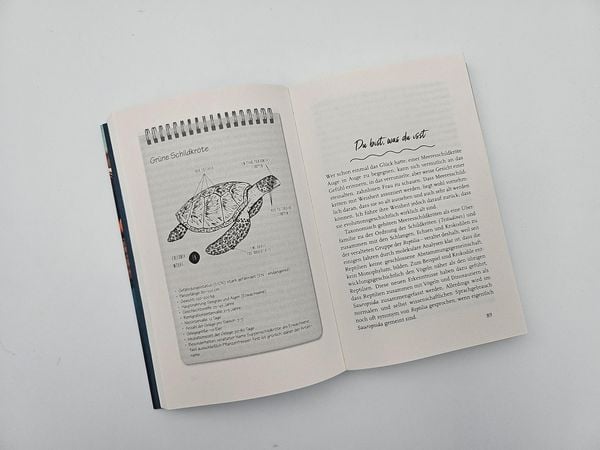 Produktbild: Meine Reise mit den Meeresschildkr&ouml;ten