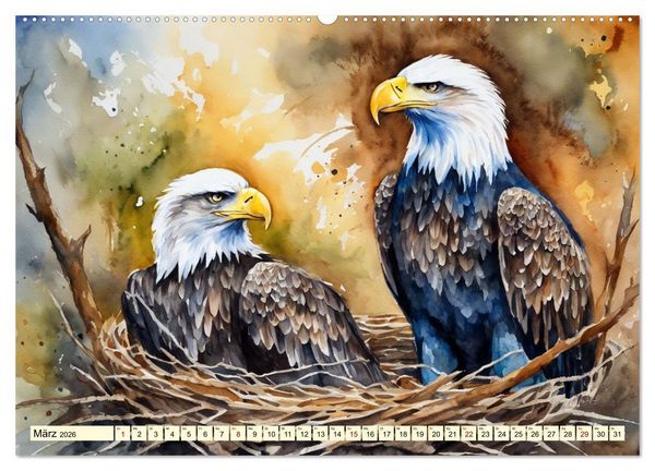 Produktbild: Wei&szlig;kopfseeadler - Majest&auml;tische V&ouml;gel (hochwertiger Premium Wandkalender 2026 DIN A2 quer), Kunstdruck in Hochglanz