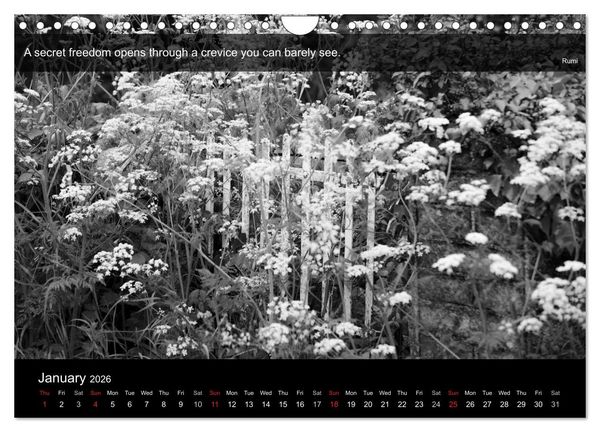 Produktbild: Through the Gate with Rumi (Wall Calendar 2026 DIN A4 landscape), CALVENDO 12 Month Wall Calendar