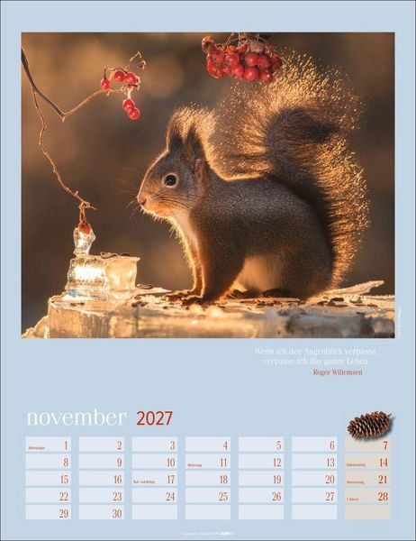Produktbild: Eichh&ouml;rnchen Kalender 2027
