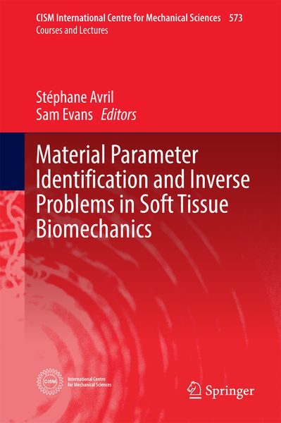 Produktbild: Material Parameter Identification and Inverse Problems in Soft Tissue Biomechanics