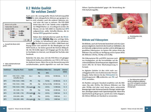 Produktbild: Canon EOS 200D / 250D