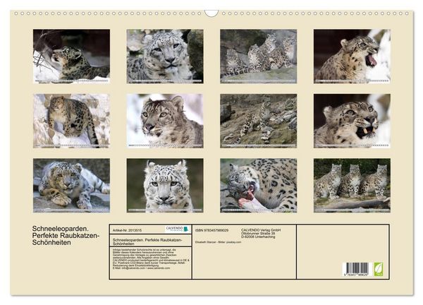 Produktbild: Schneeleoparden. Perfekte Raubkatzen-Sch&ouml;nheiten (Wandkalender 2026 DIN A2 quer), CALVENDO Monatskalender