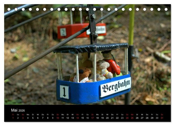 Produktbild: Der B&auml;rchenkalender 2026 (Tischkalender 2026 DIN A5 quer), CALVENDO Monatskalender