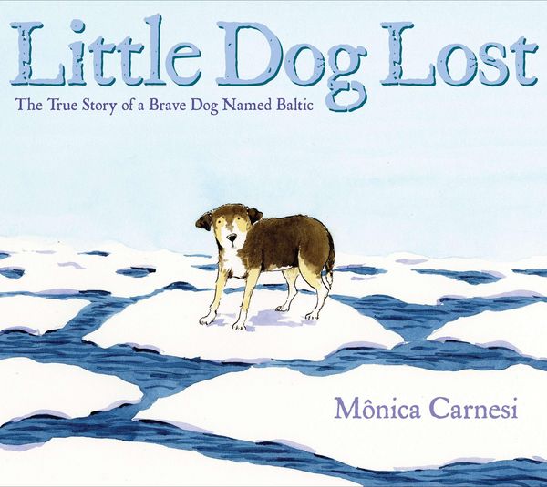 Produktbild: Little Dog Lost