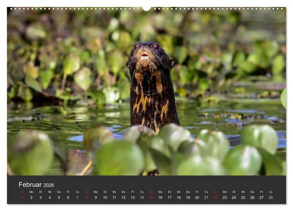 Produktbild: Wildlife Pantanal 2026 (hochwertiger Premium Wandkalender 2026 DIN A2 quer), Kunstdruck in Hochglanz