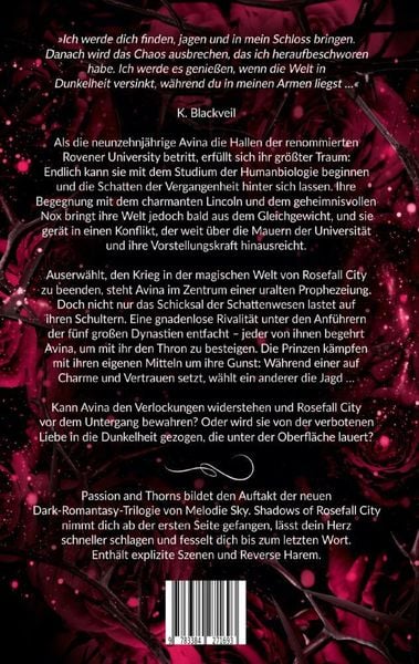 Produktbild: Shadows of Rosefall City