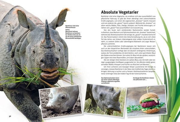 Produktbild: Entdecke die Nash&ouml;rner