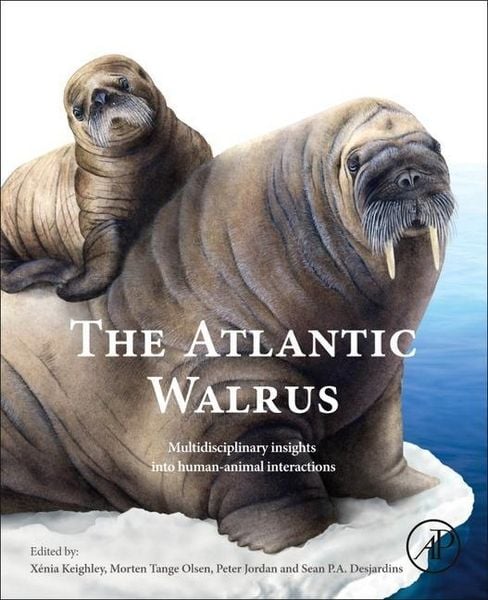 Produktbild: The Atlantic Walrus
