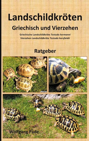 Produktbild: Landschildkr&ouml;ten Griechisch und Vierzehen