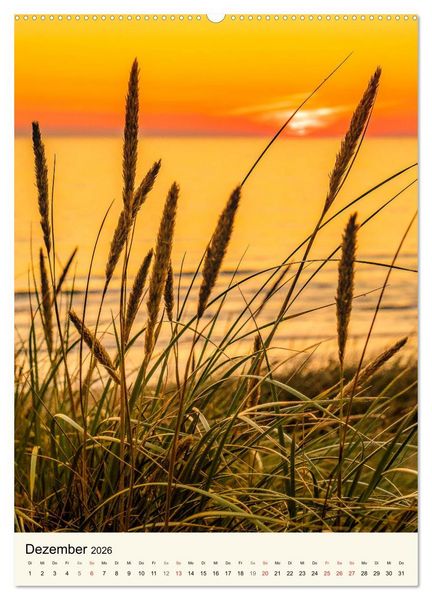Produktbild: LANGEOOG Strandspaziergang (Wandkalender 2026 DIN A2 hoch), CALVENDO Monatskalender