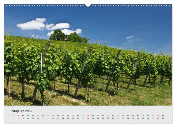 Produktbild: Insel Reichenau - Klosterinsel im Bodensee (hochwertiger Premium Wandkalender 2026 DIN A2 quer), Kunstdruck in Hochglanz