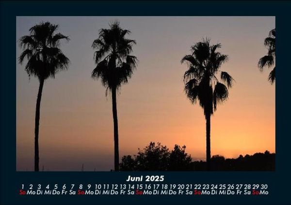 Produktbild: Palmentraum 2025 Fotokalender DIN A5