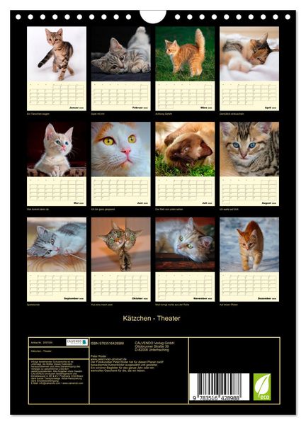 Produktbild: K&auml;tzchen - Theater (Wandkalender 2026 DIN A4 hoch), CALVENDO Monatskalender