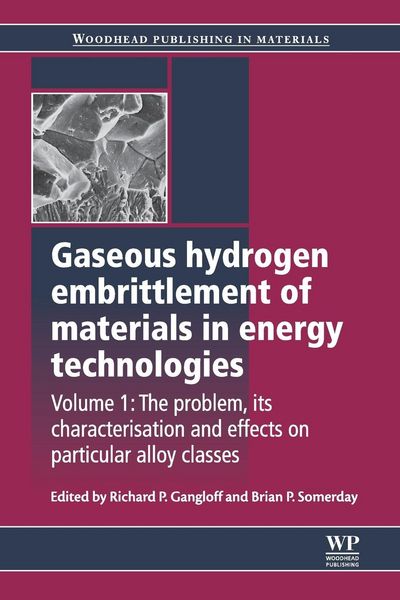 Produktbild: Gaseous Hydrogen Embrittlement of Materials in Energy Technologies