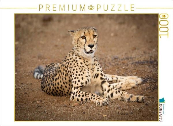 Produktbild: CALVENDO Puzzle Gepard, Botswana 2017 | 1000 Teile Lege-Gr&ouml;&szlig;e 64x48cm Foto-Puzzle f&uuml;r gl&uuml;ckliche Stunden
