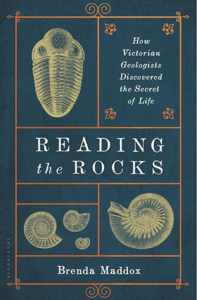 Produktbild: Reading the Rocks