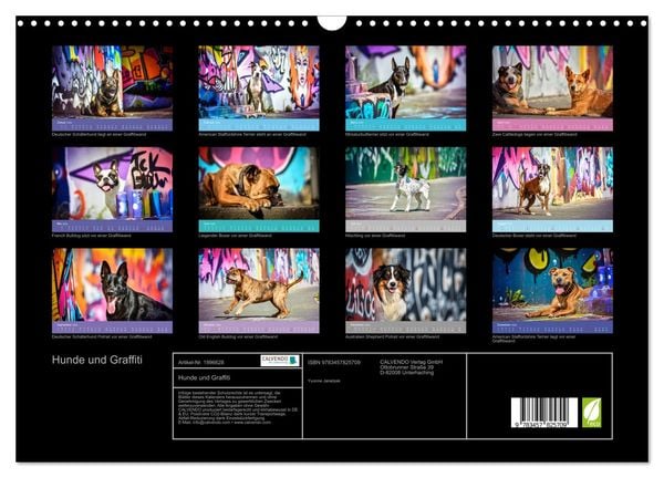 Produktbild: Hunde und Graffiti (Wandkalender 2026 DIN A3 quer), CALVENDO Monatskalender
