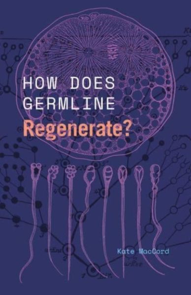 Produktbild: How Does Germline Regenerate?