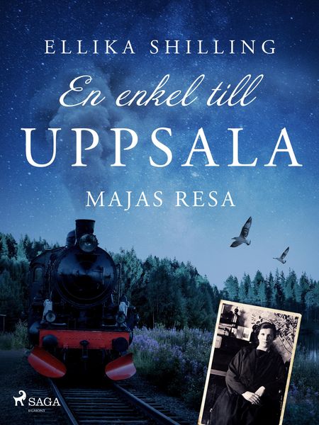 Produktbild: En enkel till Uppsala