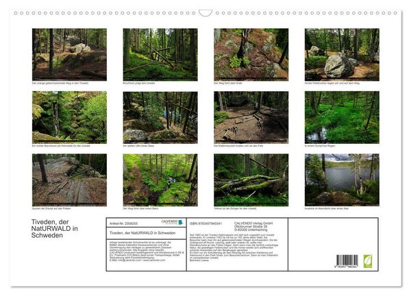Produktbild: Tiveden, der NatURWALD in Schweden (Wandkalender 2026 DIN A2 quer), CALVENDO Monatskalender