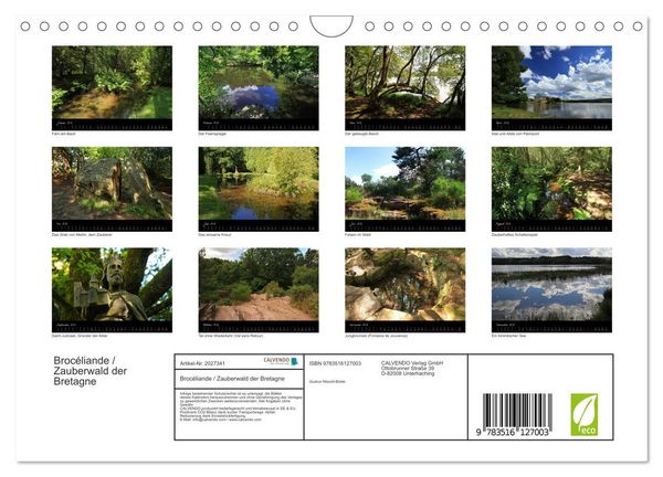 Produktbild: Broc&eacute;liande / Zauberwald der Bretagne (Wandkalender 2026 DIN A4 quer), CALVENDO Monatskalender